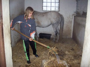 Před jízdou stáj vykidejte